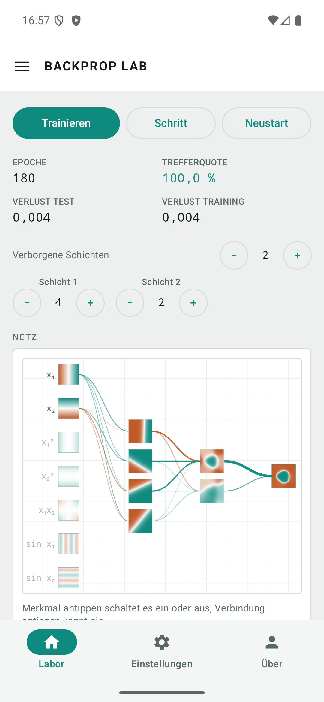 Das Netzdiagramm mit einer Kachel auf jedem Neuron